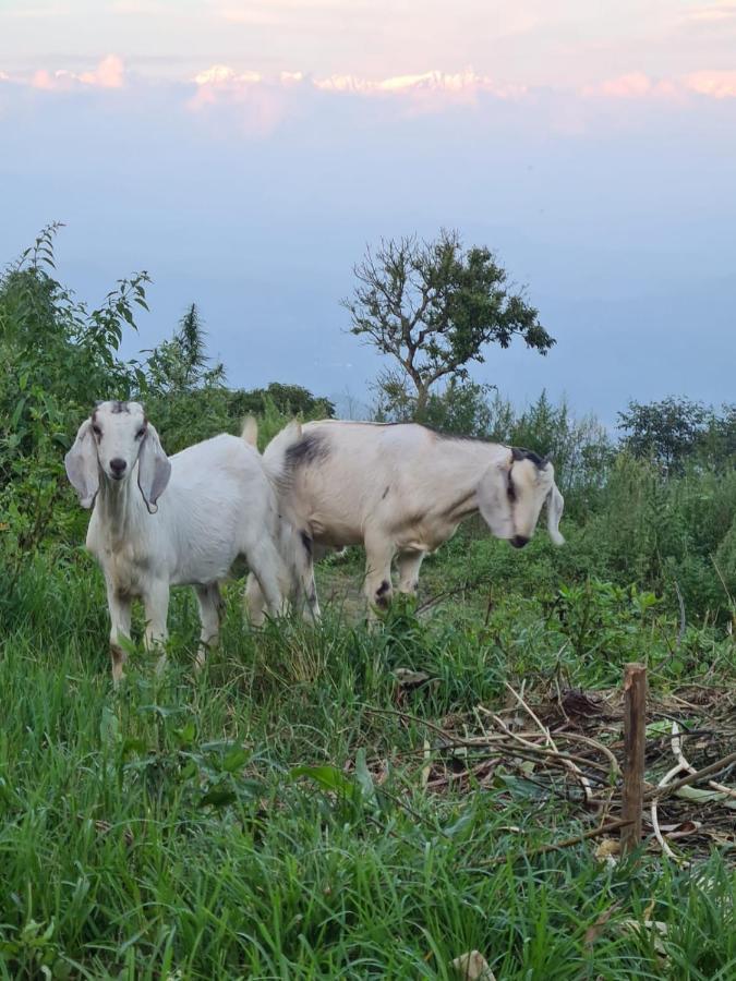 Nagarkot Trekkers Inn 외부 사진